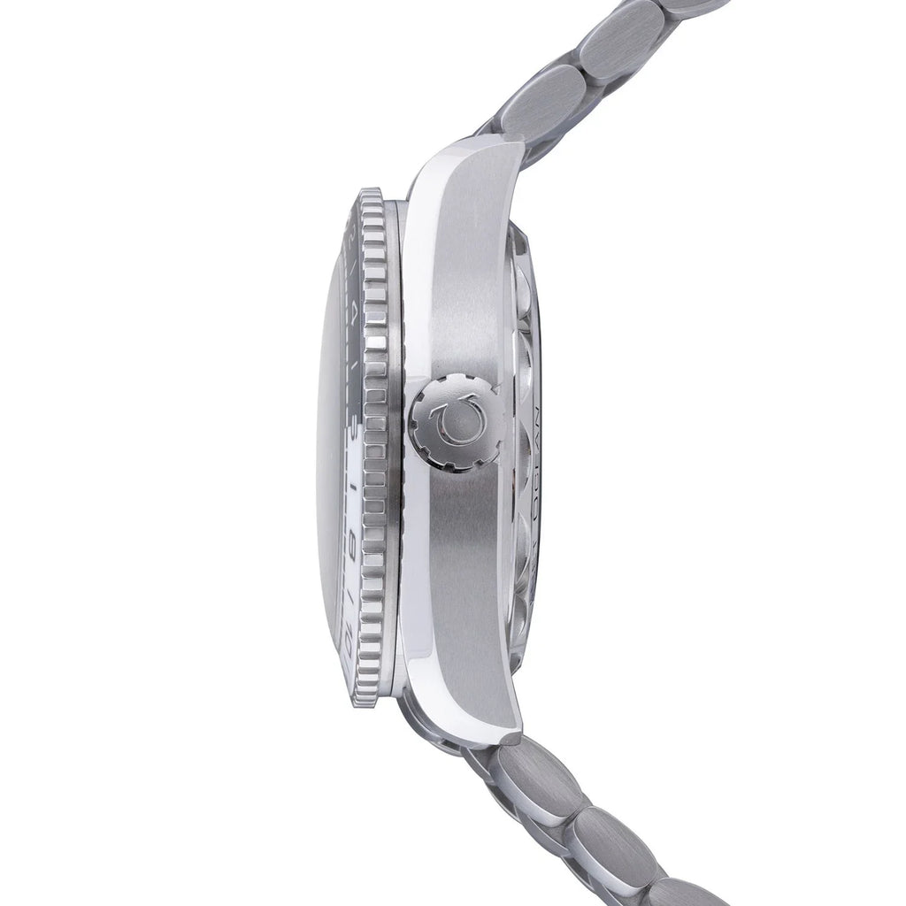 Seamaster Planet Ocean 600M GMT Watch